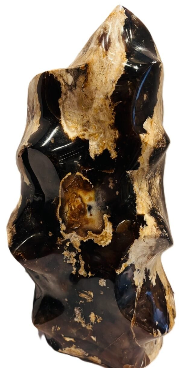 Carved black opal flame specimen sians emporium Polished black opal flame carving displaying glossy jet black body tone creamy tan veining and natural matrix patterns on an isolated white background
